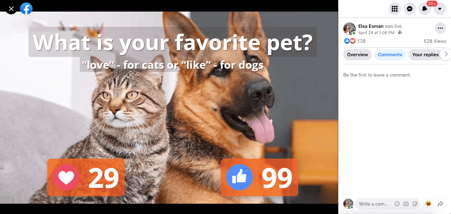 live-poll-cat-dogs