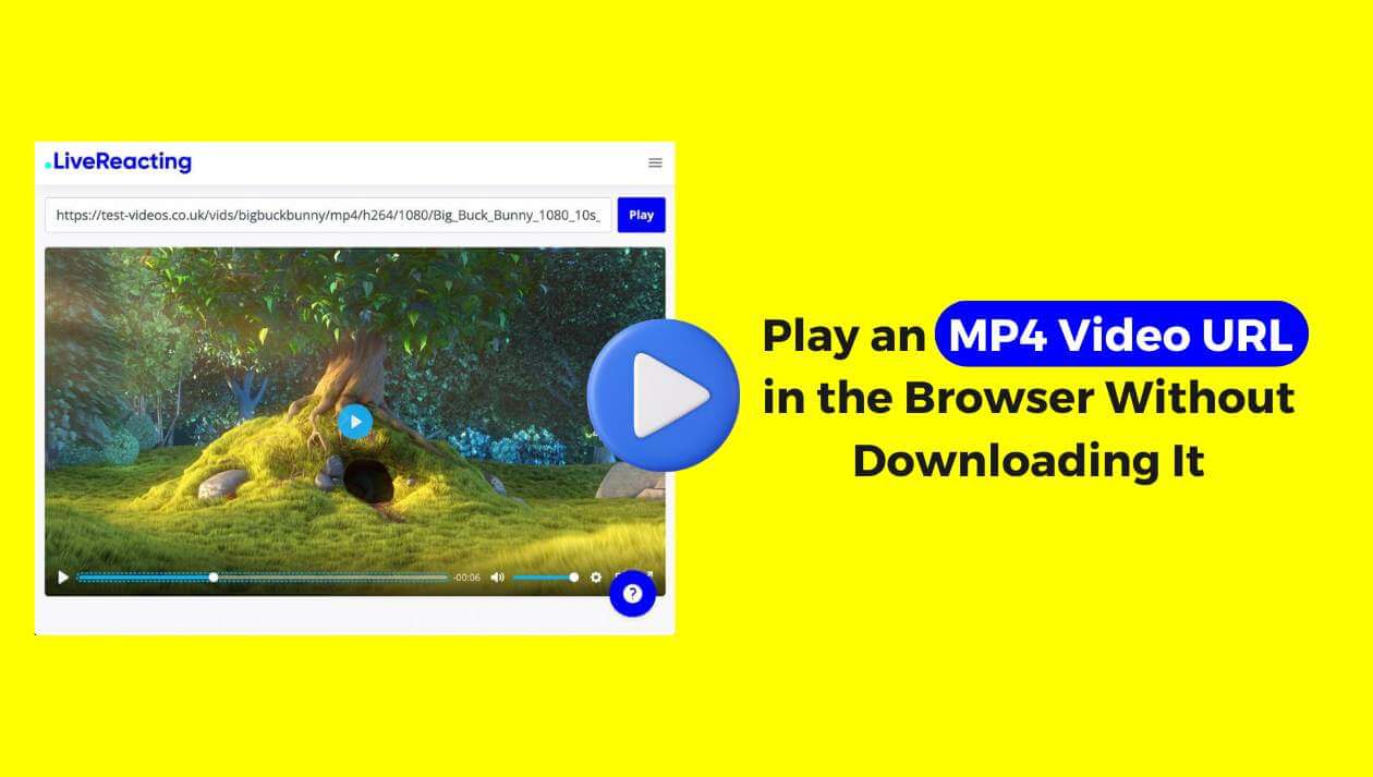 How to Play MP4 Video URL in the Browser Without Download