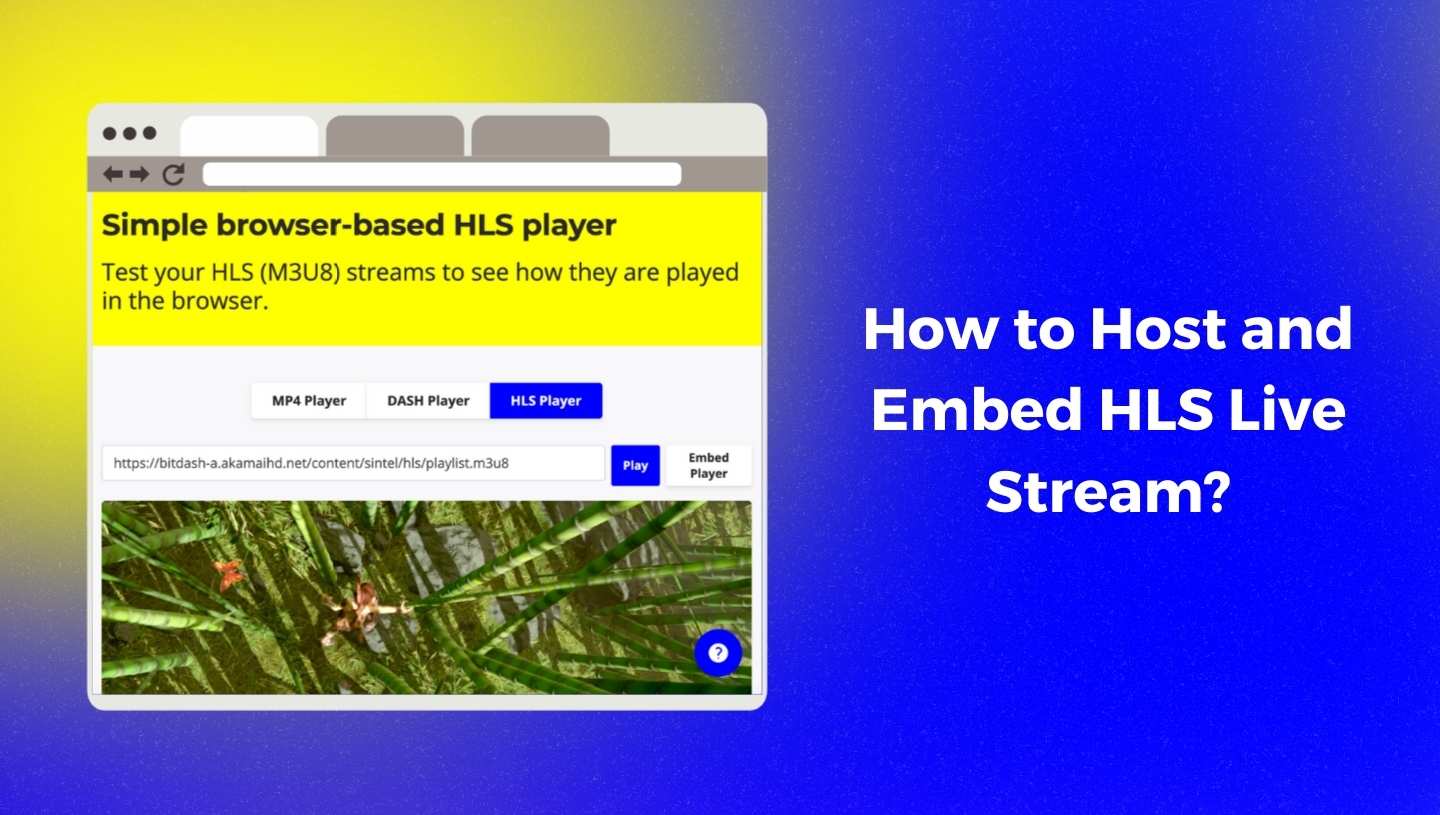 Host and Embed an HLS Live Stream: An Easy 2025 Guide